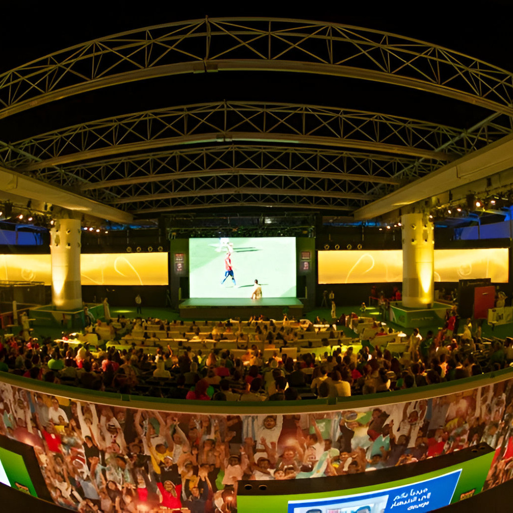 FIFA FanZone Wins Award!